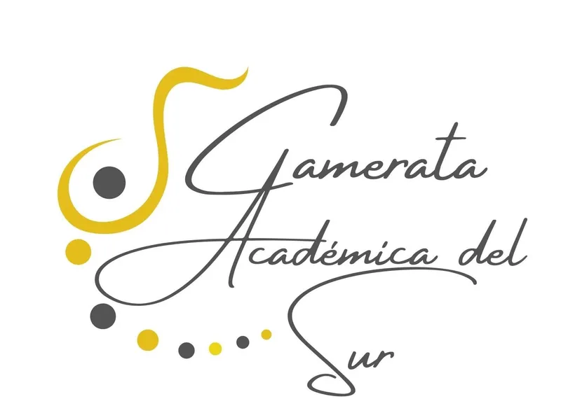 Camerata-Academica-del-Sur.-1.jpg