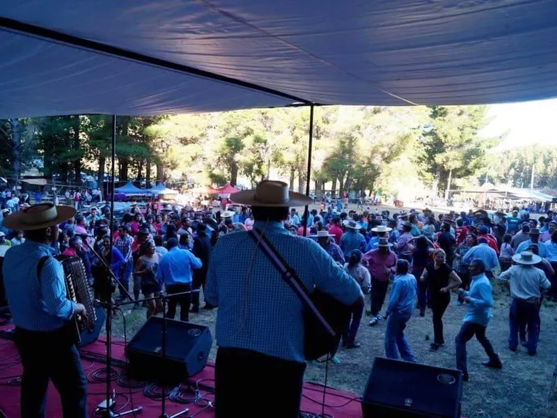 Cantar Campesino Miraflores