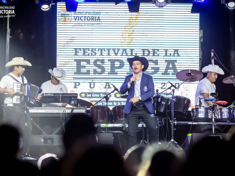 Festival de la Espiga