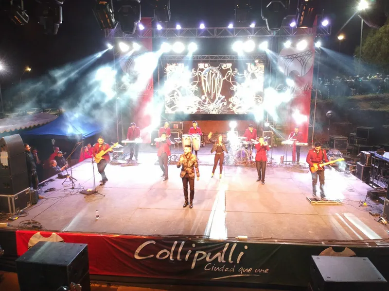 Muestra-costumbrista-collipulli-2019-03.jpg