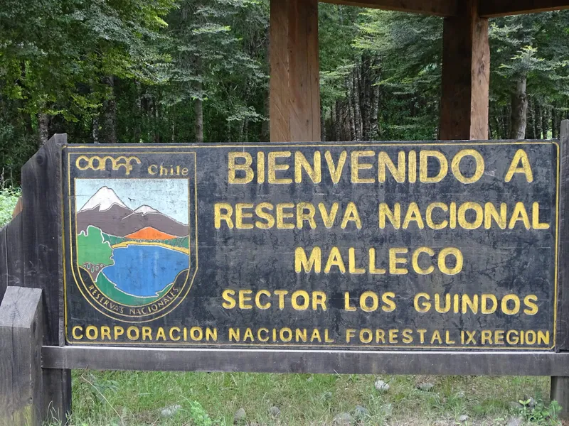 Reserva-Nacional-Malleco-1.jpg