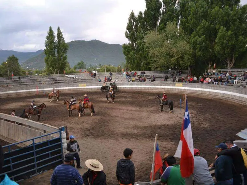 Rodeo.jpeg