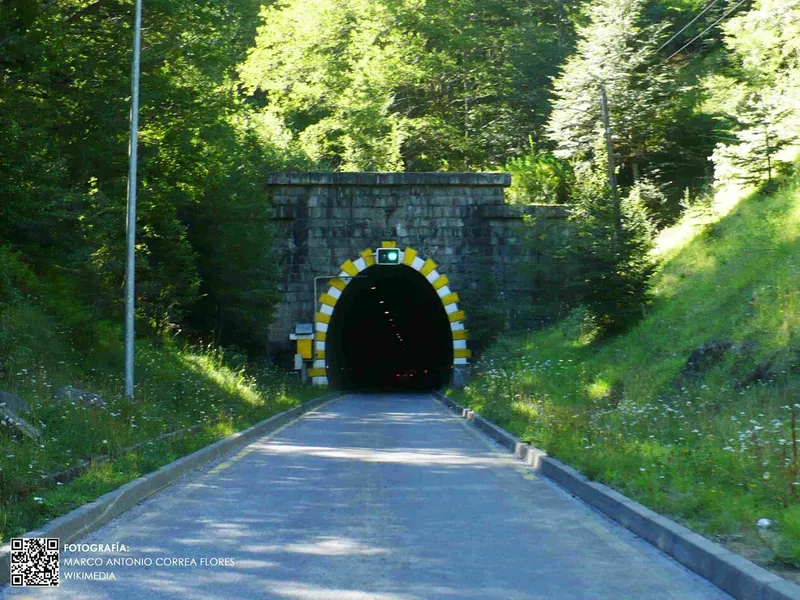 Tunel-las-raices-2.jpg