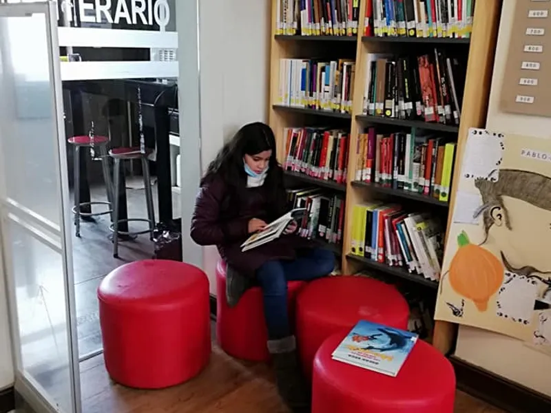 Fomento Lector Biblioteca