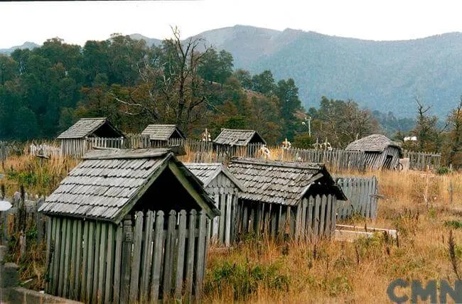foto-CMN.jpg
