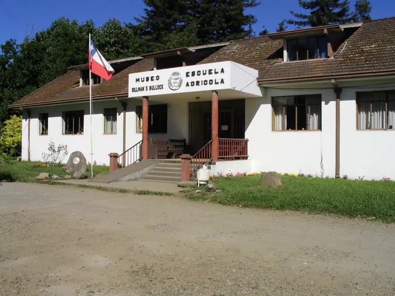 ingreso-museo-dillman-bullock.jpg