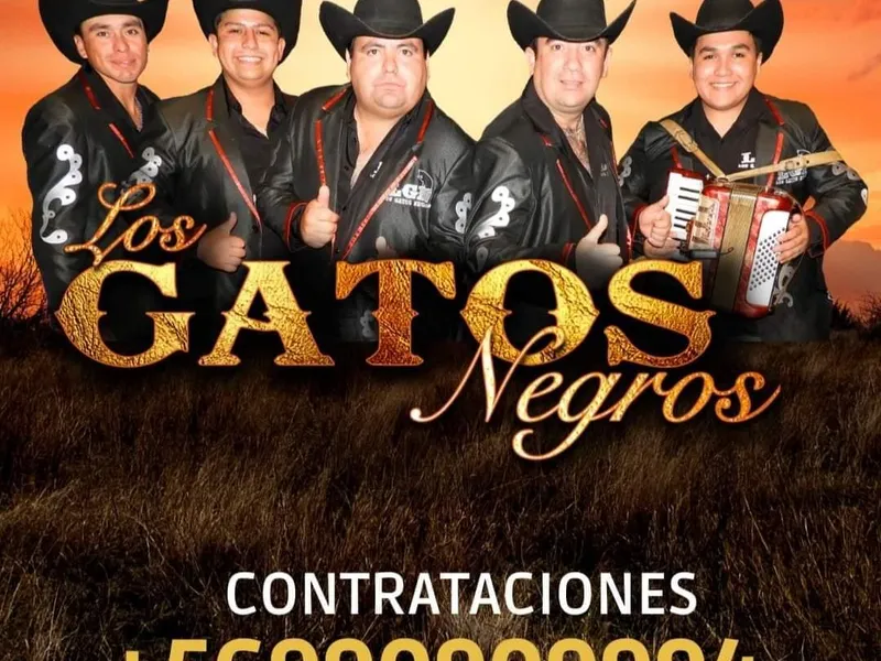 los-gatos-negros.jpg