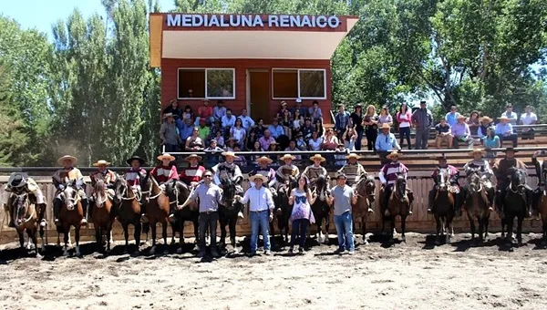 medialuna-renaico.jpg