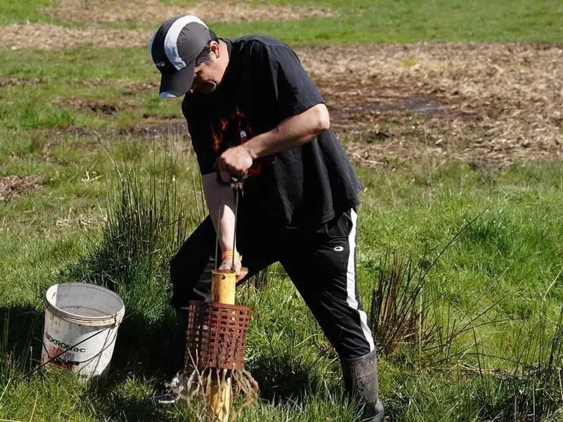 sacando-camarones.jpg