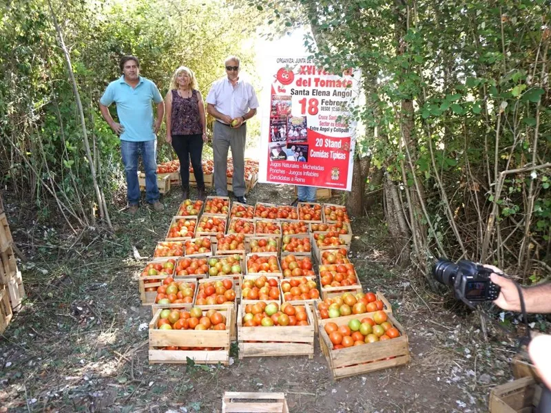 tomate-3-1024x681-1.jpg